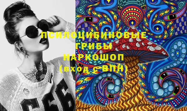 шишки Алзамай