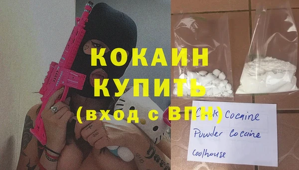 индика Алексеевка