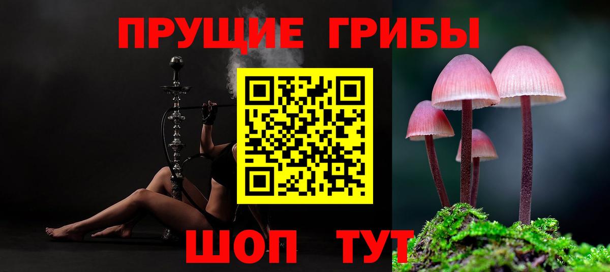 Галлюциногенные грибы мицелий  Вход с VPN  Набережные Челны 